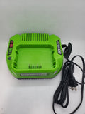 Greenworks 60-Volt Lithium Max Battery  Charger - Bargainwizz